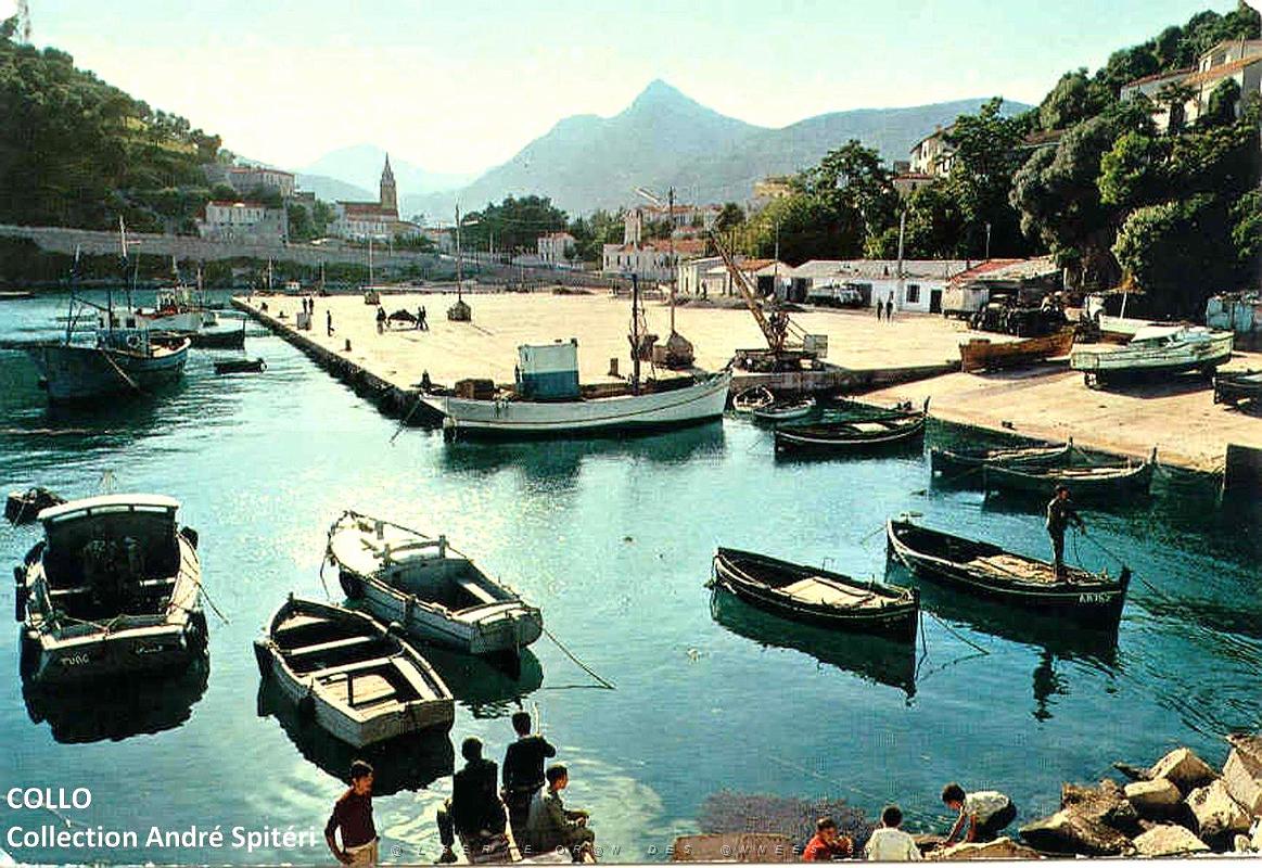 426- Collo - Spiteri 03.jpg